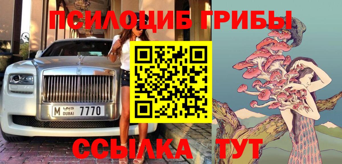 Псилоцибиновые грибы Cubensis  Вход с VPN  Кашира 