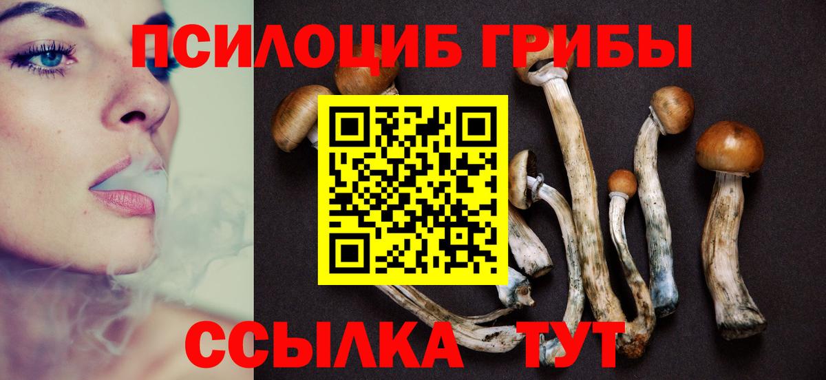 Псилоцибиновые грибы прущие грибы Кашира